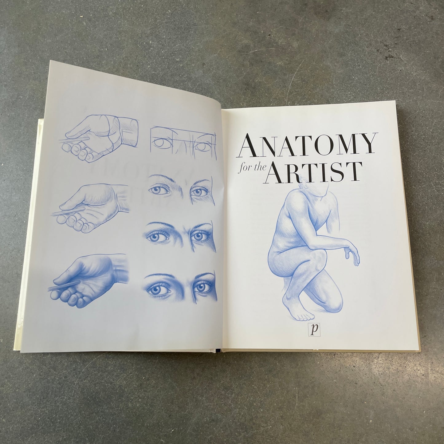 2002 Anatomy For The Artist Coffee Table Book