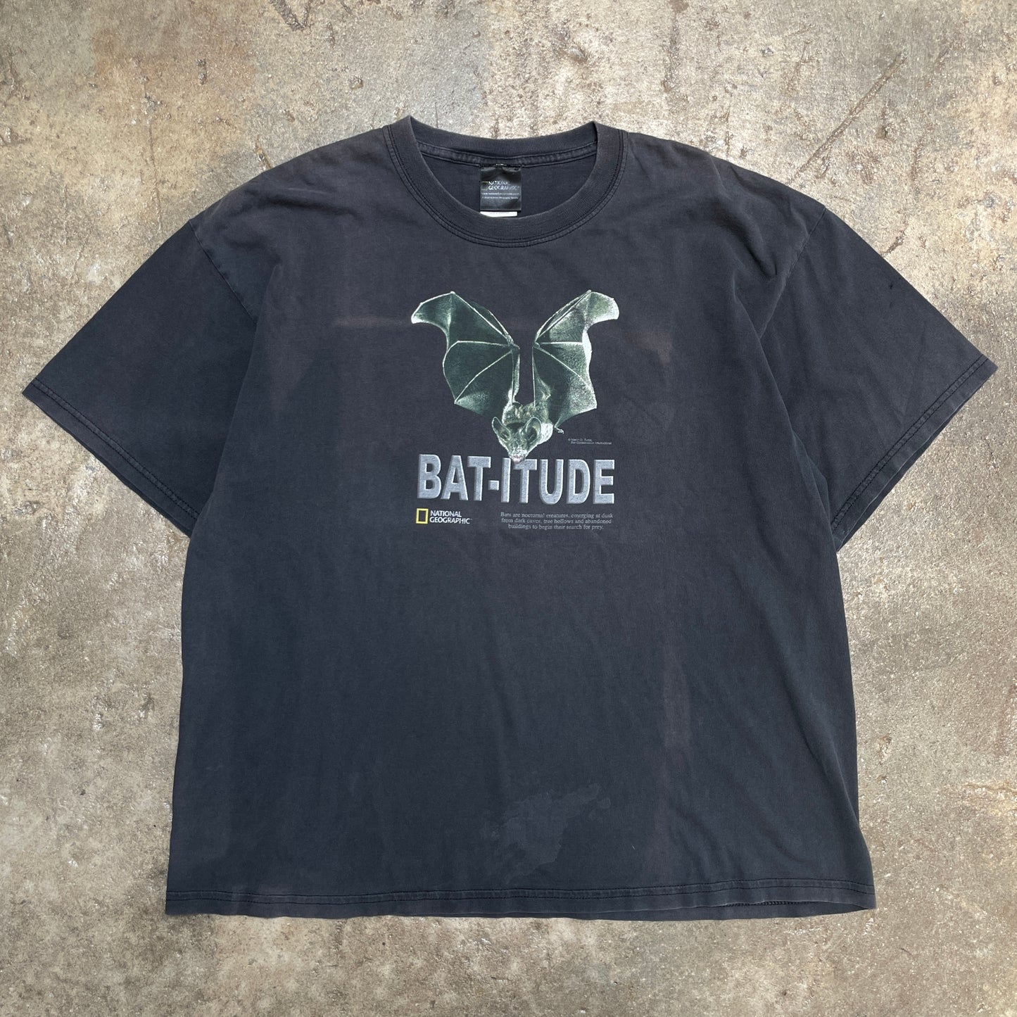 1990s Bat-itude National Geographic T-Shirt [L]