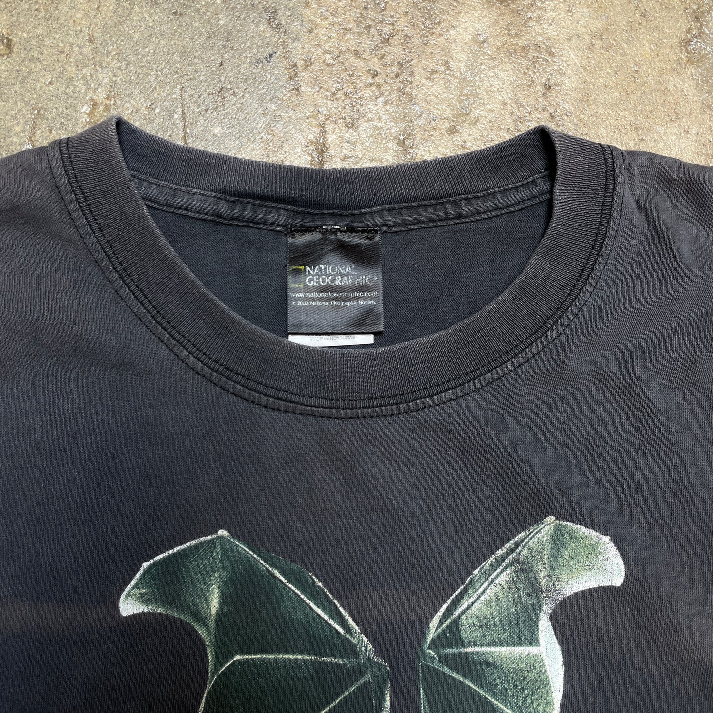 1990s Bat-itude National Geographic T-Shirt [L]